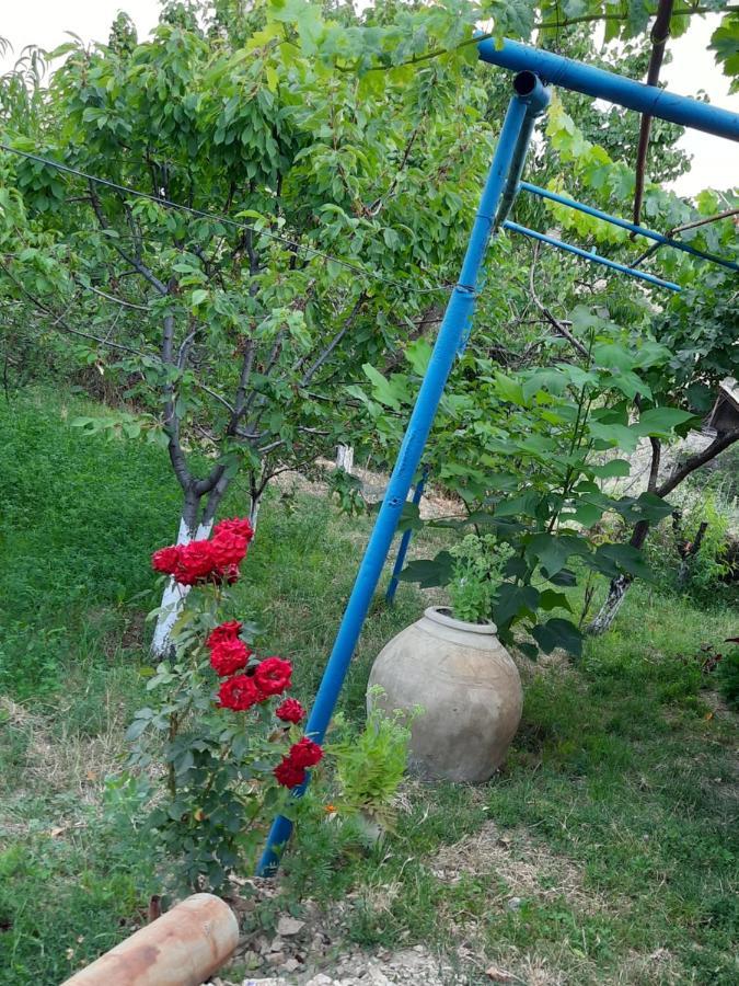 Ararat B&B Chʼiva 外观 照片