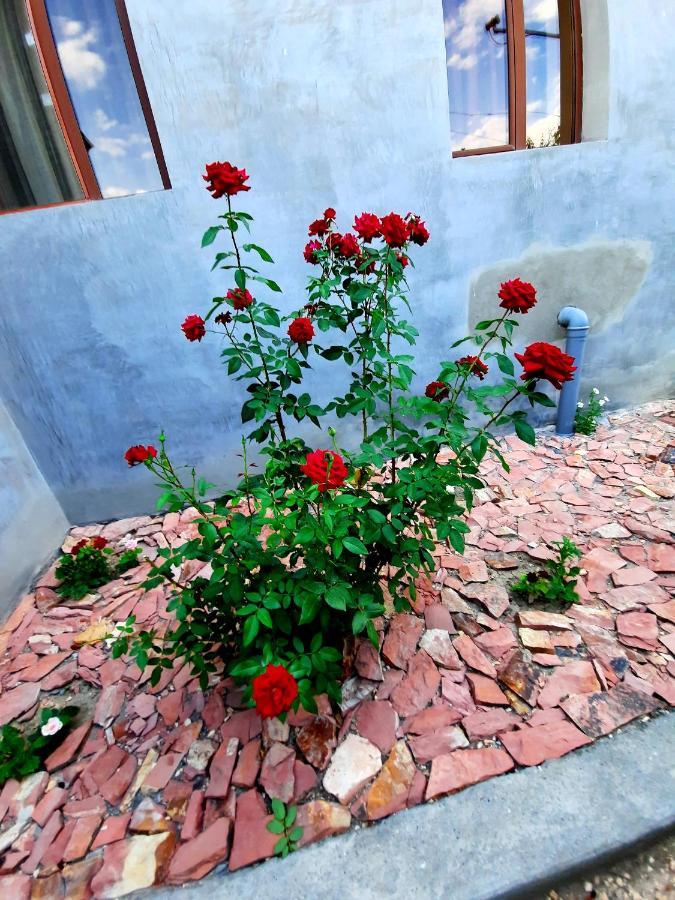 Ararat B&B Chʼiva 外观 照片